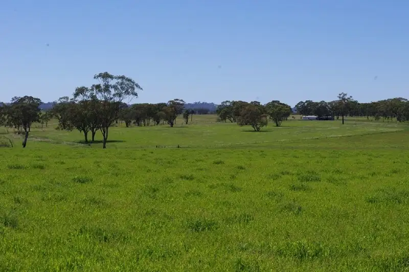 Main view of Homely rural property listing, 'Mytona' 154 Bypass Road, Inverell NSW 2360