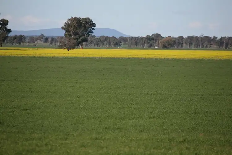 "Montana" Yarrabandai Road, Forbes NSW 2871