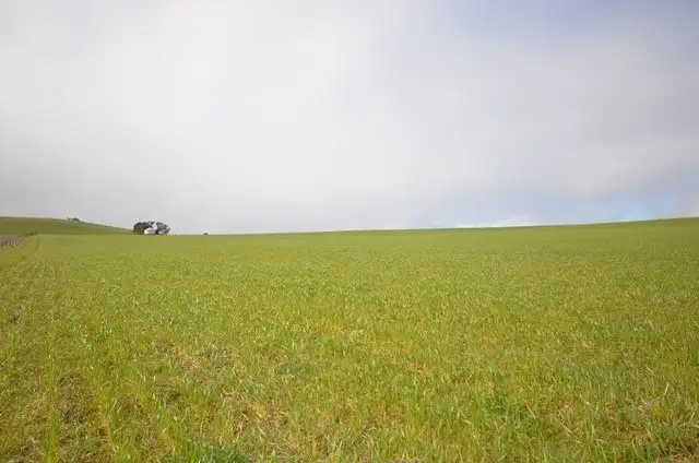 Sixth view of Homely rural property listing, "Pfitzners" Range Road, Eudunda SA 5374