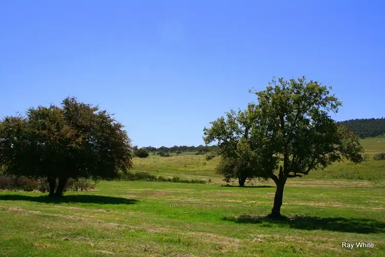 Sixth view of Homely rural property listing, 3 Nerriga Road, Braidwood NSW 2622