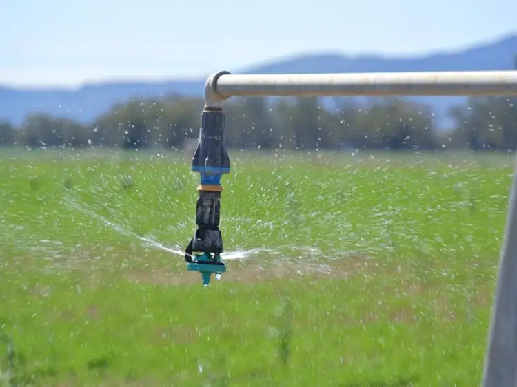 Fourth view of Homely rural property listing, "Mayfield" Narrabri, Narrabri NSW 2390