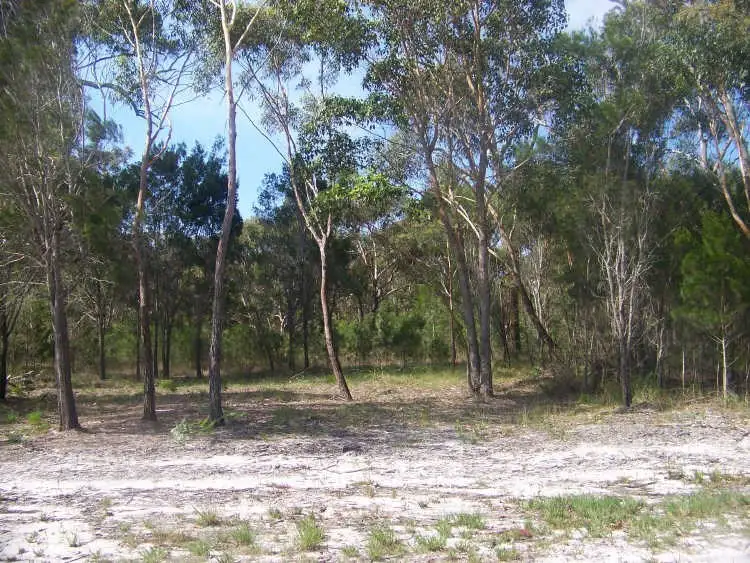 Second view of Homely land listing, 31 Magnolia Street, Russell Island QLD 4184