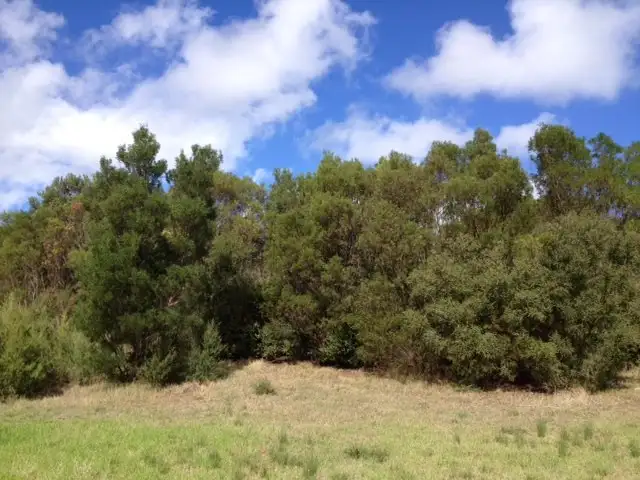 Third view of Homely land listing, 2 Tralee Lane, Fingal VIC 3939