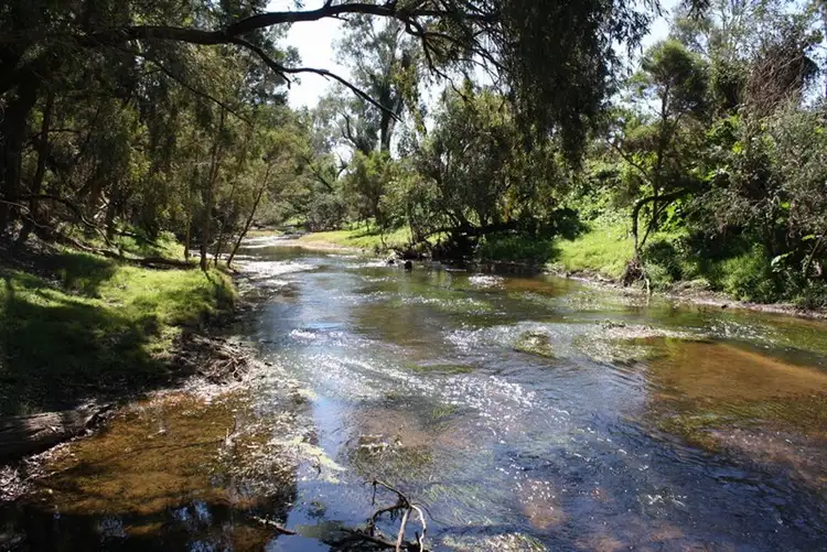 Sixth view of Homely rural property listing, Address available on request