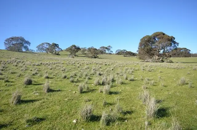 Main view of Homely rural property listing, "Kellys" Cattle Station Road, Mount Bryan SA 5418