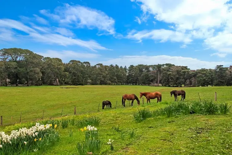 Fifth view of Homely rural property listing, 40 Chrome Road, Branxholme VIC 3302