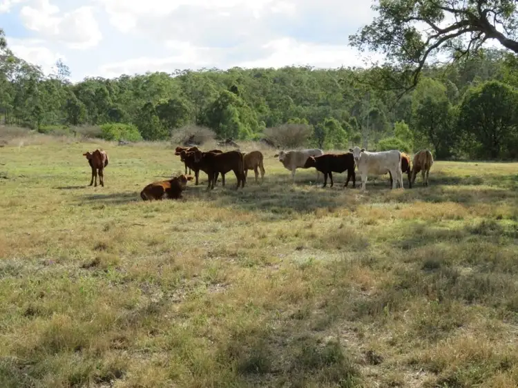 Second view of Homely rural property listing, L58,65,69 Brothers Road, Emu Creek QLD 4355
