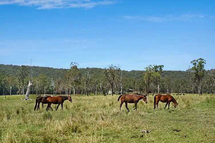Third view of Homely rural property listing, 230 Crooks Road, Mandalong NSW 2264