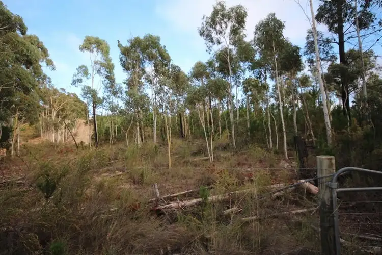 Third view of Homely rural property listing, 600 Greywacke Road, Oberon NSW 2787