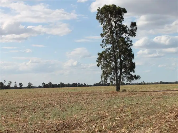 Fourth view of Homely rural property listing, Address available on request