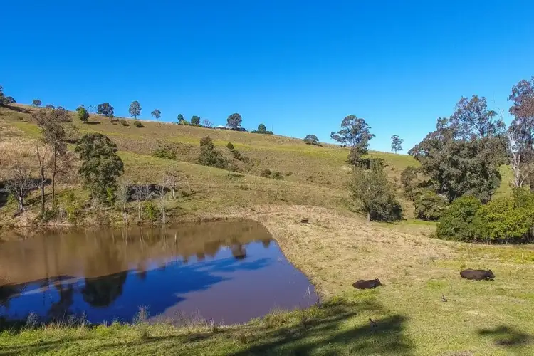 Seventh view of Homely rural property listing, 356 Wallaringa Road, Dungog NSW 2420