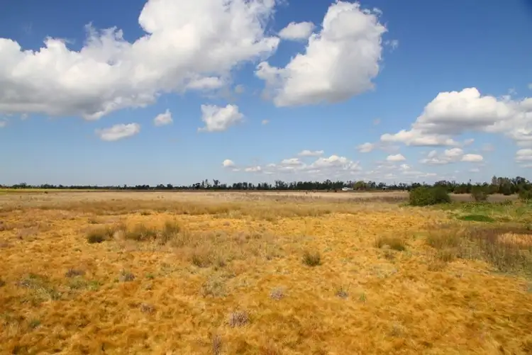 Fifth view of Homely land listing, 139 Kaputar Road, Narrabri NSW 2390