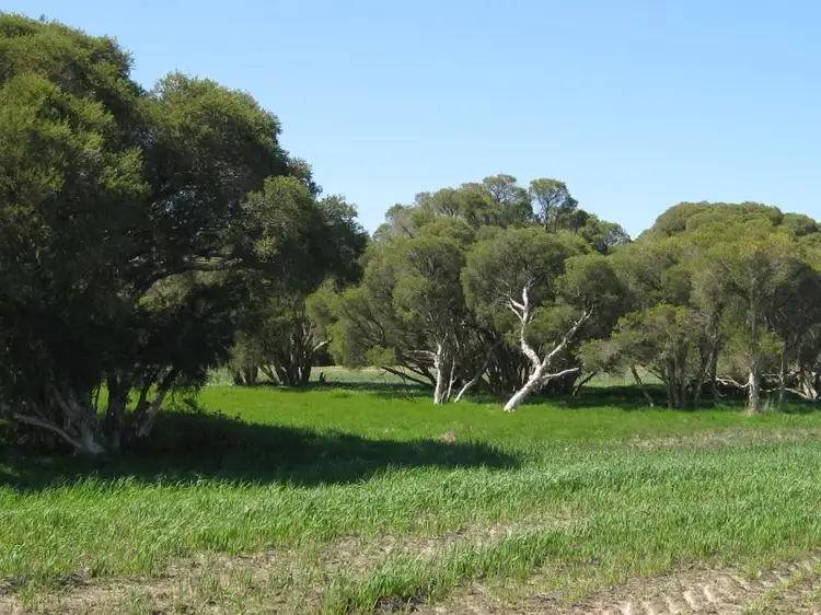 Main view of Homely rural property listing, Lot 152 pickles Road, Narrikup WA 6326