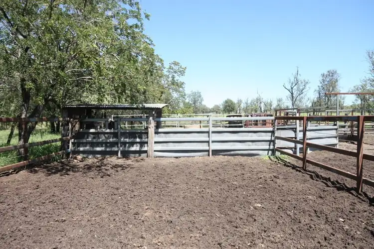 Fourth view of Homely rural property listing, 11657 Fitzroy Development Road, Bauhinia QLD 4718
