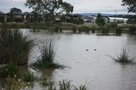 Seventh view of Homely land listing, 22 Bedervale Loop, Doreen VIC 3754
