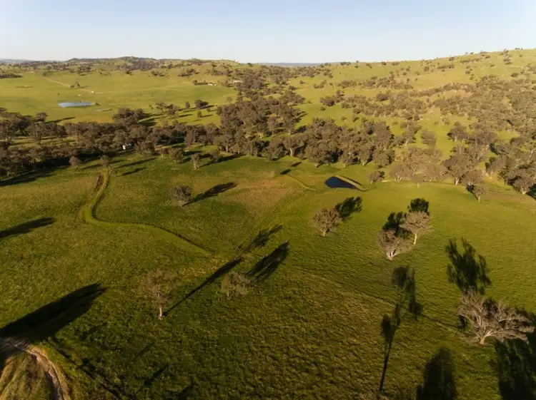 Third view of Homely rural property listing, 1470 Darbys Falls Road, Darbys Falls NSW 2793