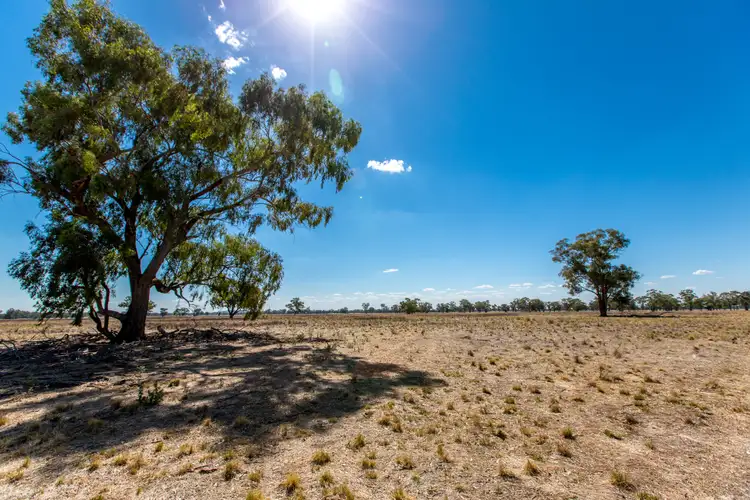 Fifth view of Homely rural property listing, 368 Bullenbong Road, The Rock NSW 2655