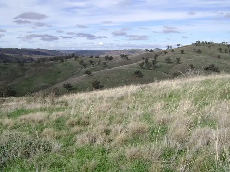 Seventh view of Homely rural property listing, Lot 50 Pride of Oak Road, Canowindra NSW 2804