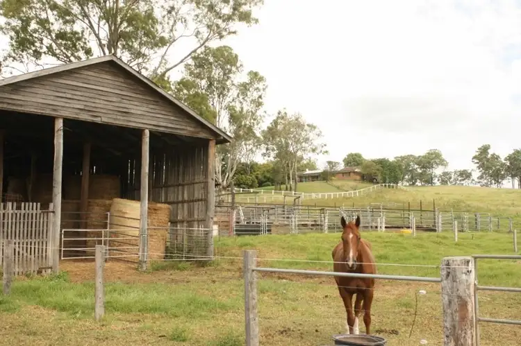 Seventh view of Homely rural property listing, 444 Cainbable Creek Road, Cainbable QLD 4285