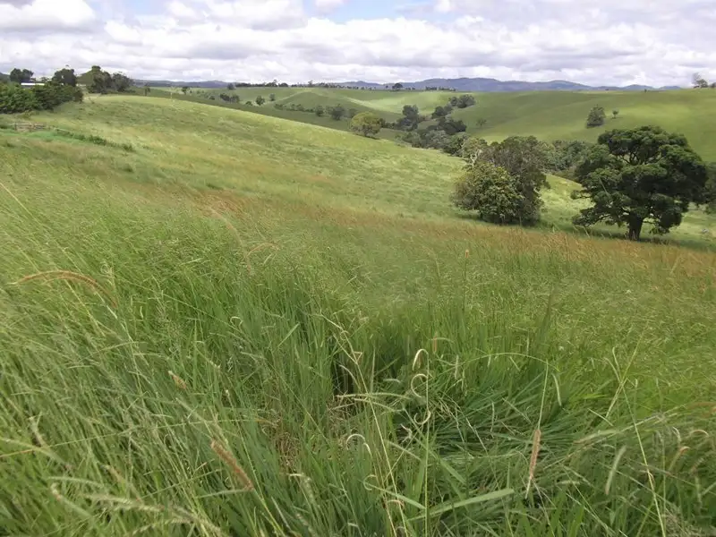 Main view of Homely rural property listing, Address available on request