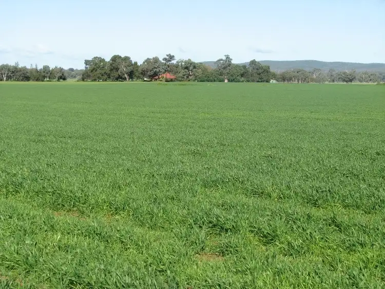 Second view of Homely rural property listing, Address available on request