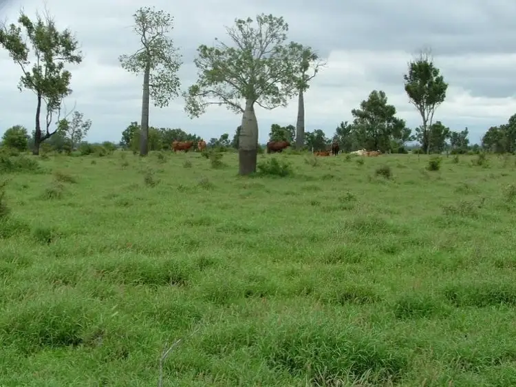 Second view of Homely rural property listing, 1776 Duaringa Biloela Road, Duaringa QLD 4712