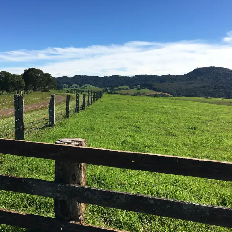 Second view of Homely land listing, 90 Everinghams Road, Dorrigo NSW 2453
