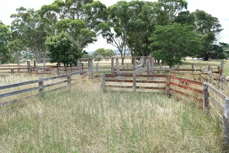 Seventh view of Homely rural property listing, Green Valley 279 Taylors Road, Guyra NSW 2365