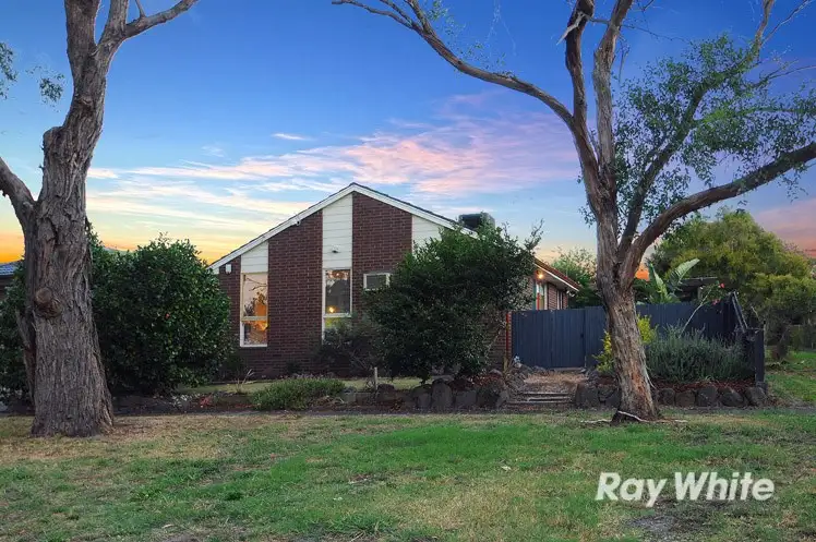 16 Hovell Court, Cranbourne VIC 3977