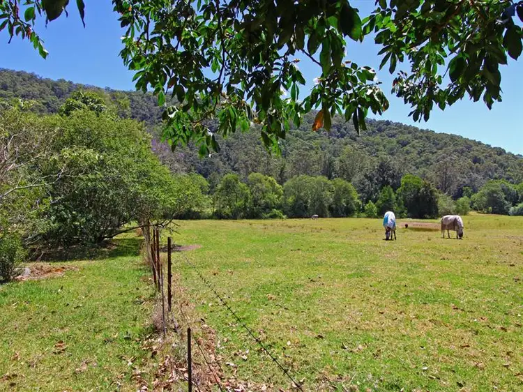 Third view of Homely rural property listing, 262 Little Jilliby Road, Jilliby NSW 2259