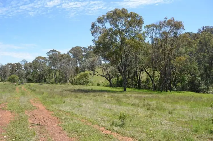 Fourth view of Homely rural property listing, Bora Bora Link Road, Dinoga NSW 2404