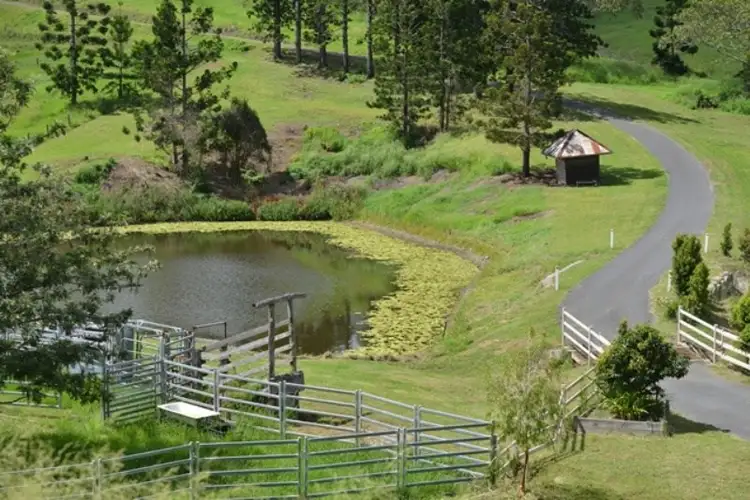Fourth view of Homely rural property listing, 447 Newman Lane, Delaneys Creek QLD 4514