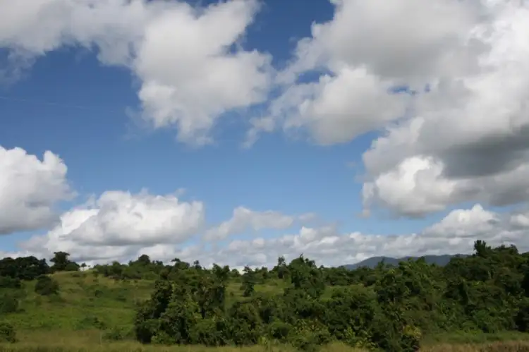 Sixth view of Homely rural property listing, 239 Dunne Road, East Palmerston QLD 4860