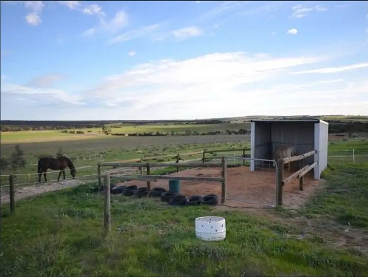 Seventh view of Homely house listing, 1091 Ferries McDonald Road, Monarto SA 5254