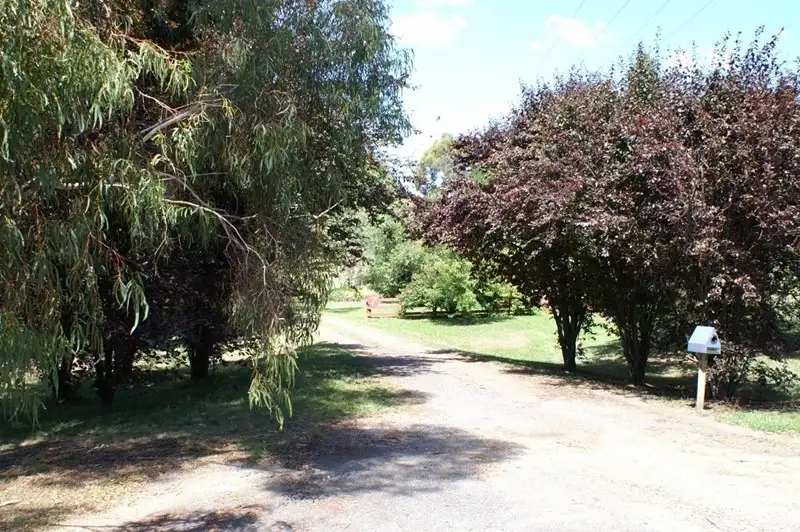 Main view of Homely house listing, 7 Don Peters Place, Orange NSW 2800