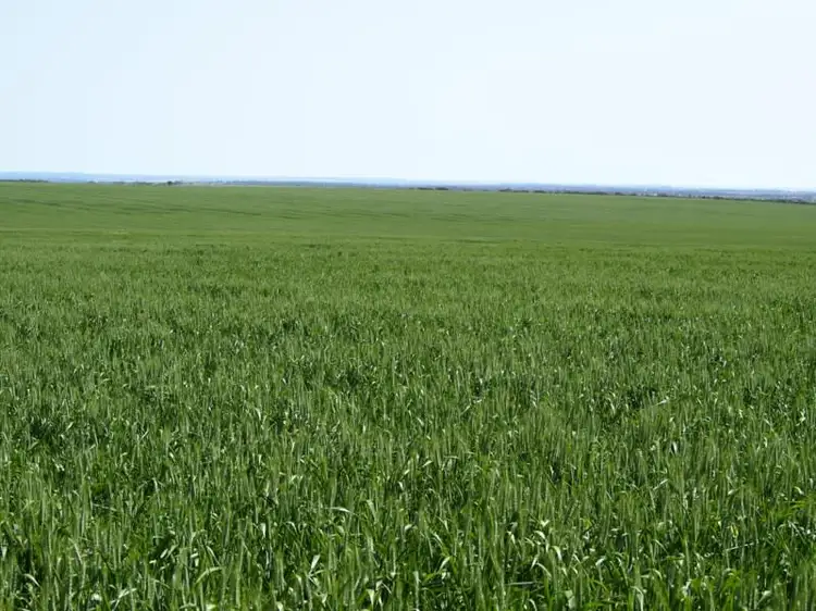 Second view of Homely rural property listing, Hiview Steele Road, Pingrup WA 6343