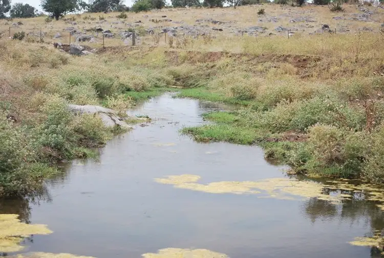 Fourth view of Homely rural property listing, Address available on request