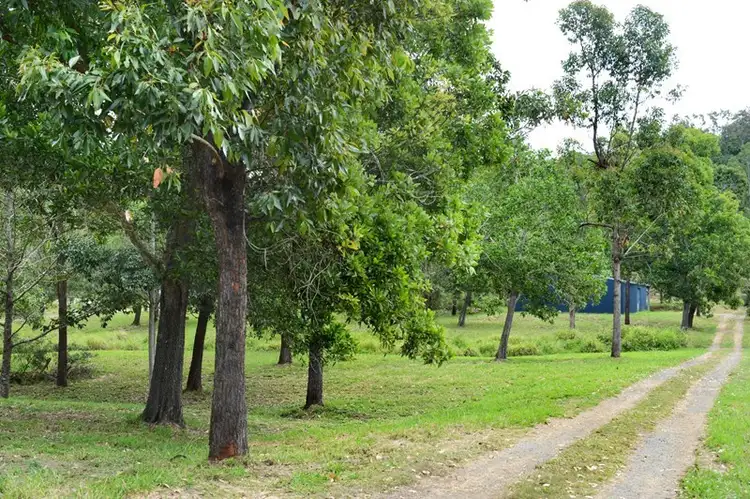 Sixth view of Homely land listing, 57 Moodys Road, Strathdickie QLD 4800