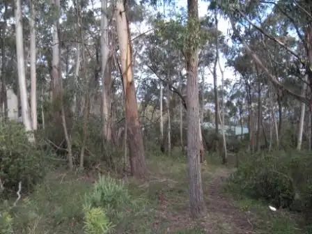 Main view of Homely land listing, 151 Victoria Street, Mount Victoria NSW 2786