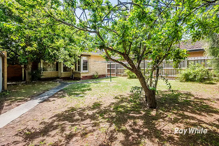 Seventh view of Homely house listing, 19 Katoomba Street, Hampton East VIC 3188