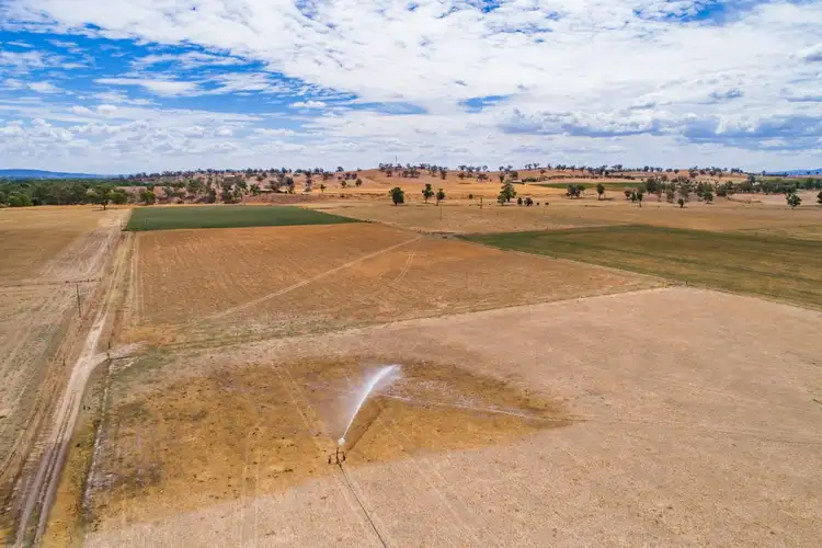 Fifth view of Homely rural property listing, 'Bayview' Windowrie Road, Billimari NSW 2804