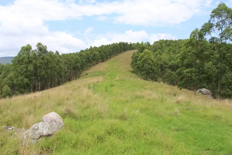 Third view of Homely rural property listing, 1924 Billirimba Road, Tenterfield NSW 2372