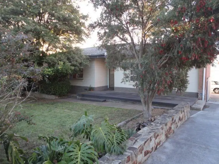 Second view of Homely house listing, 19 Oak Avenue, Clovelly Park SA 5042