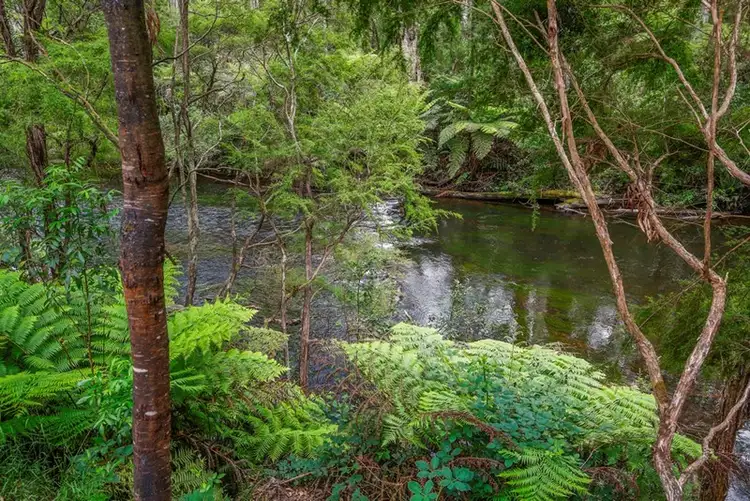 Sixth view of Homely land listing, 455 Woodspoint Road, East Warburton VIC 3799