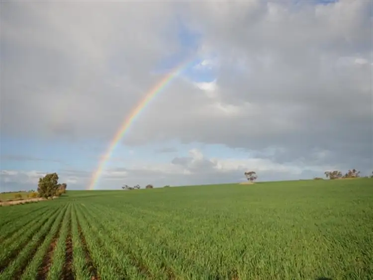 Third view of Homely rural property listing, Various Secs Windy Loop Road, Yacka SA 5470