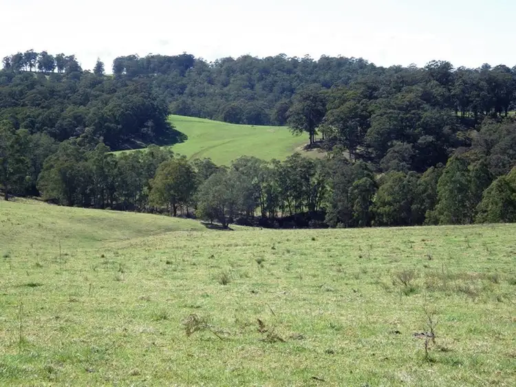 Main view of Homely rural property listing, 302 Cedar Log Road, Dorrigo NSW 2453