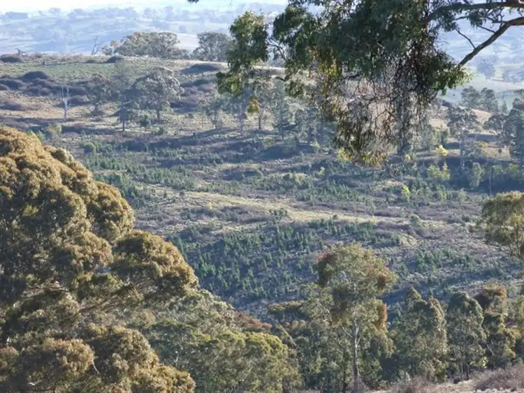 Fourth view of Homely rural property listing, 1327 Swallows Nest Road, Oberon NSW 2787