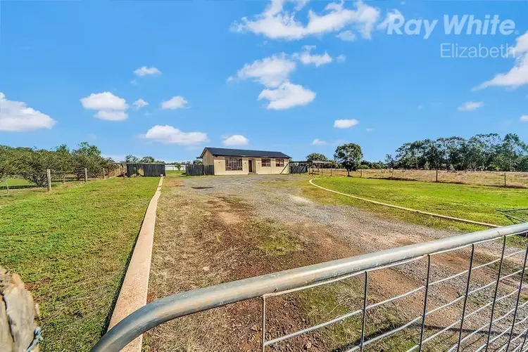 Third view of Homely house listing, 31 Ormsby Road, Kudla SA 5115