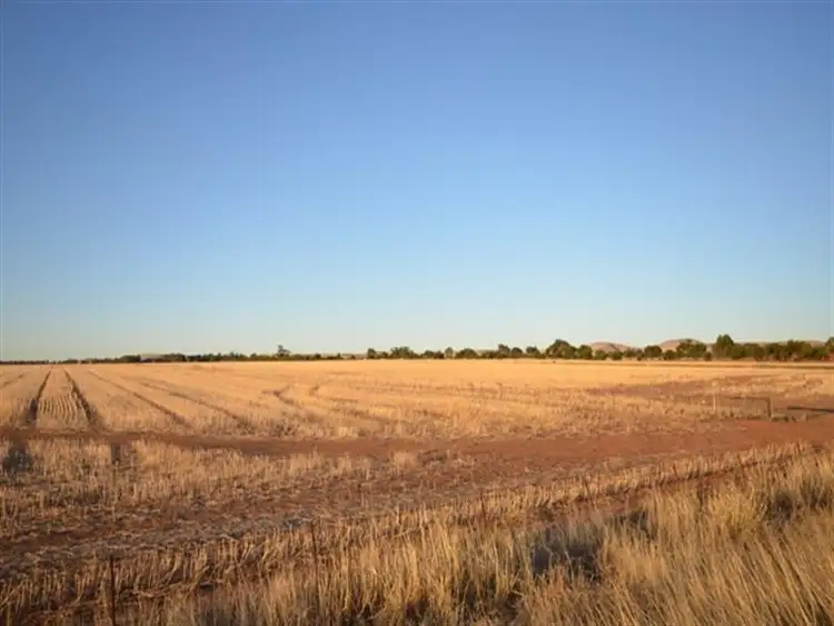 Third view of Homely rural property listing, "South Boob" Nth Booborowie Road, Booborowie SA 5417
