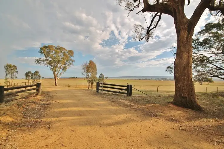 Second view of Homely rural property listing, 125 Calabash Lane, Murringo via, Young NSW 2594